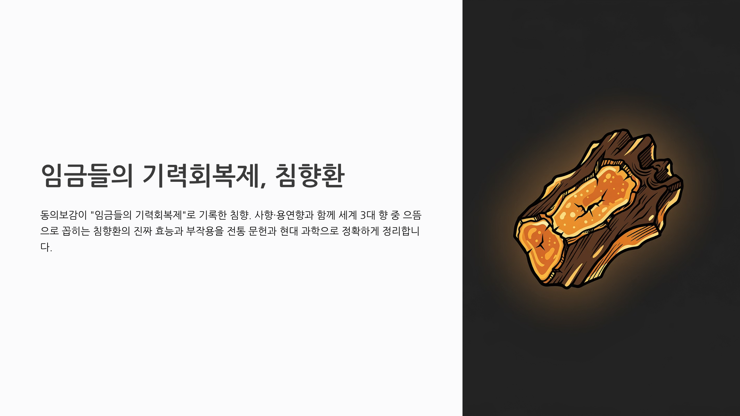 침향환 효능 부작용 완전정리 왕실 임금도 찾은 기력회복 명약의 진실