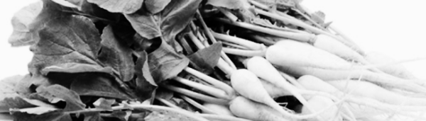 열무 키우기: pH 6.0~7.5