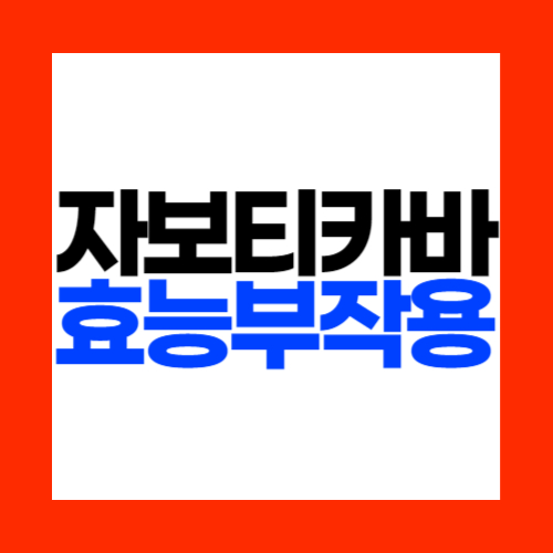 자보티카바 효능