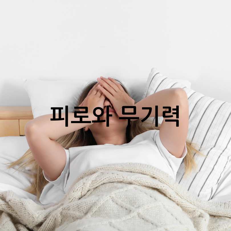 간수치 높으면 나타나는 증상과 낮추는 방법