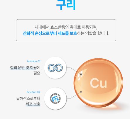 셀렌톡-효능-구리