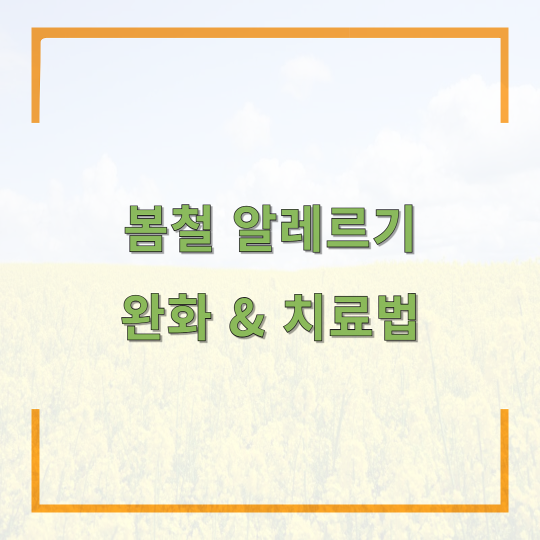 봄철 알레르기 완화 & 치료법