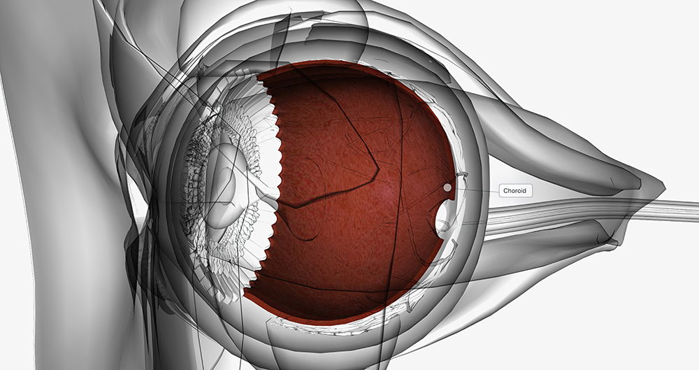 백내장 수술비용