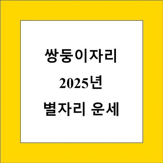 쌍둥이자리 2025년 별자리 운세 제목 상자
