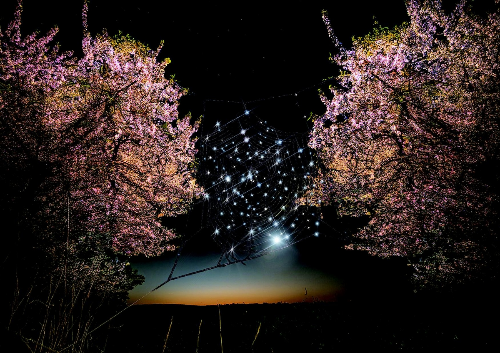 서울 벚꽃 야경 명소 TOP 5, 밤 산책 코스 추천