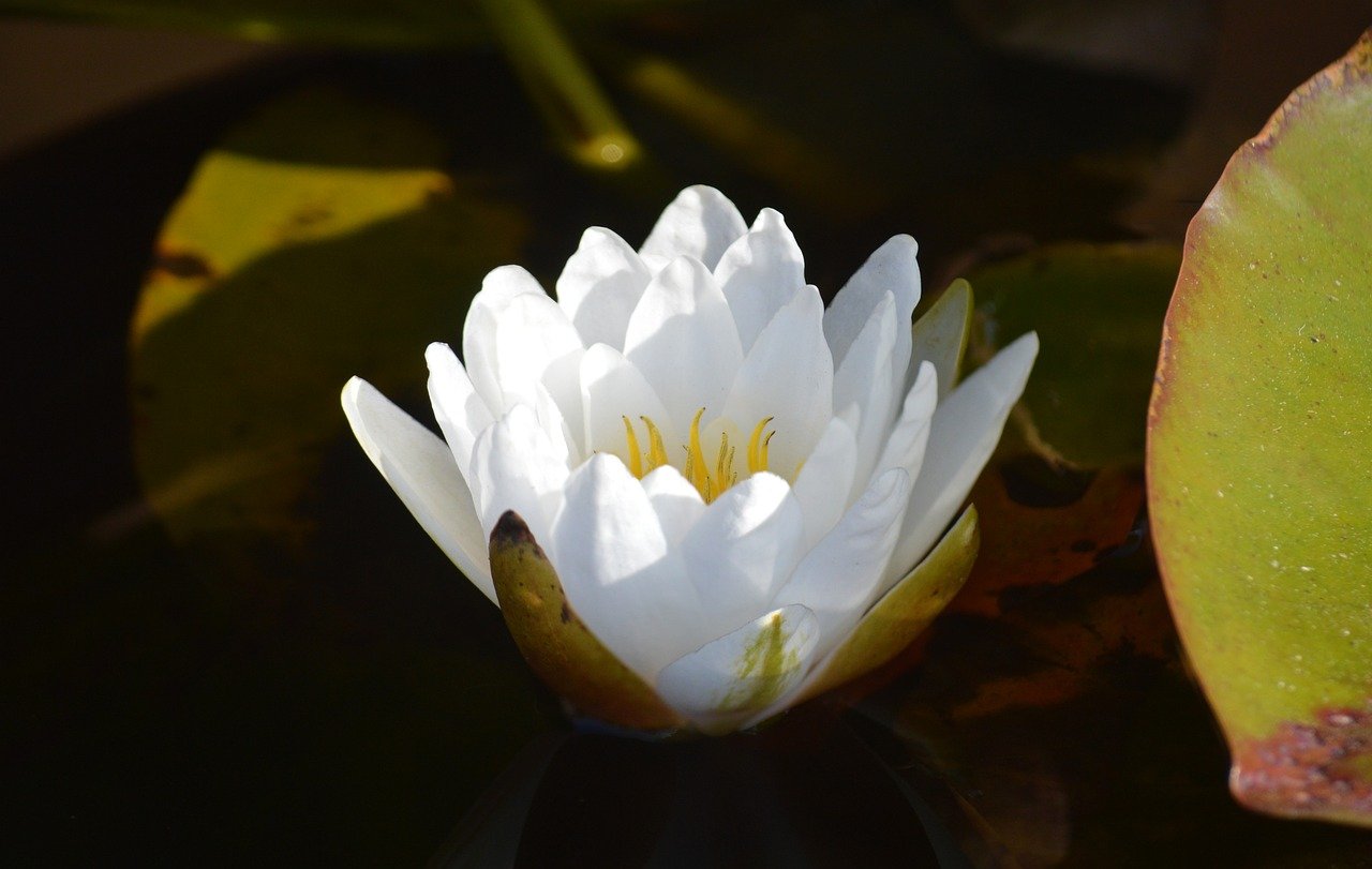 🌳 가족과 함께 가기 좋은 화담숲 산책코스 BEST 5