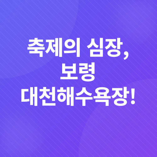 보령머드축제_2