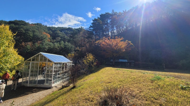 특색있고 아름다운 민간 정원 30선 추천 여행 - 12. 인제 찍박골 정원