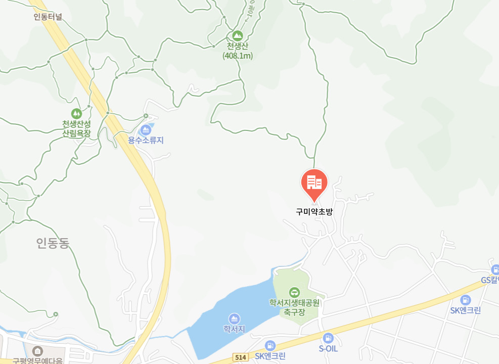 극한직업 석이버섯 약초방