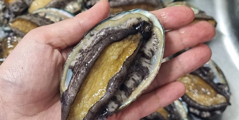 손질 되어 있는 전복을 데치기 위해 준비하는 모습