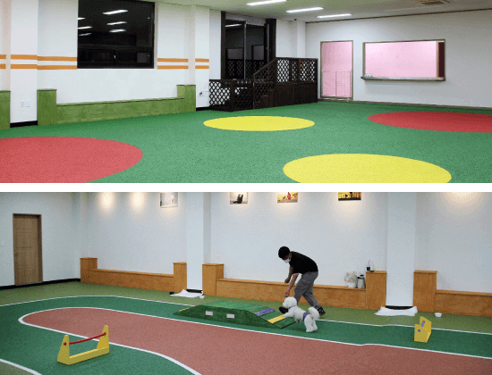 김포공항 애견센터 독독