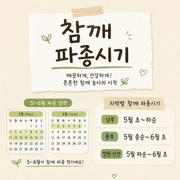 참깨 파종시기