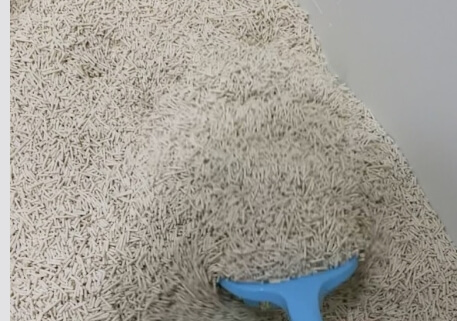 고양이모래 고양이 두부모래 추천