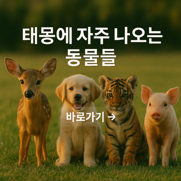 태몽에 자주 나오는 동물들