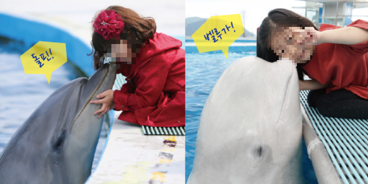 거제 씨월드 체험