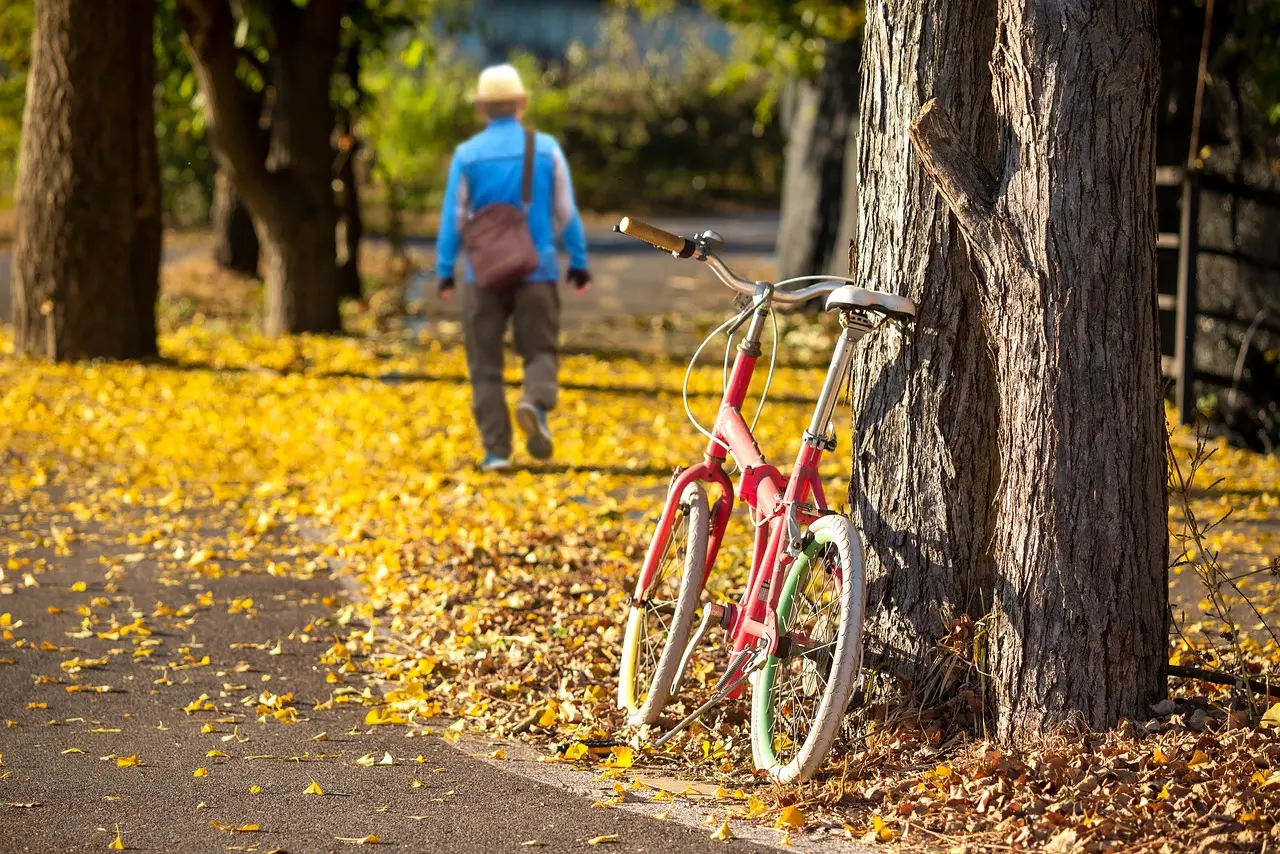 은행잎추출물 효능