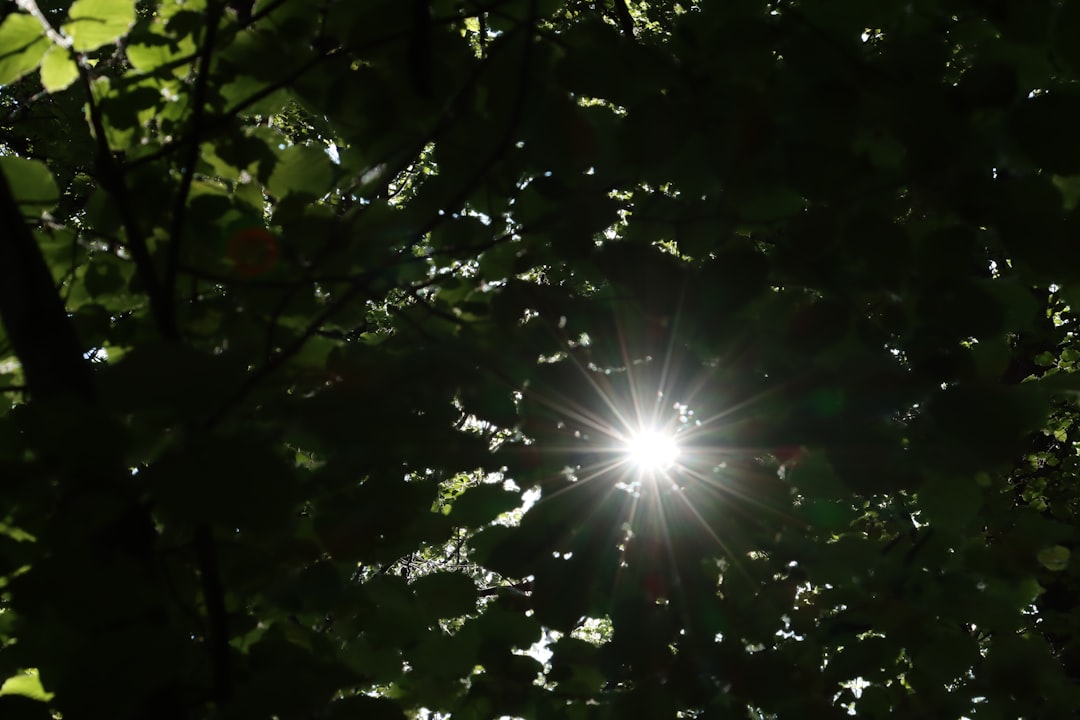 Solar.