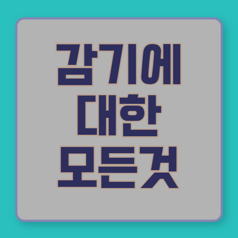 감기에 좋은 음식 감기 빨리 낫는 방법