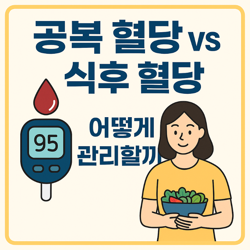 공복 혈당과 식후 혈당 비교 및 혈당 관리법 인포그래픽