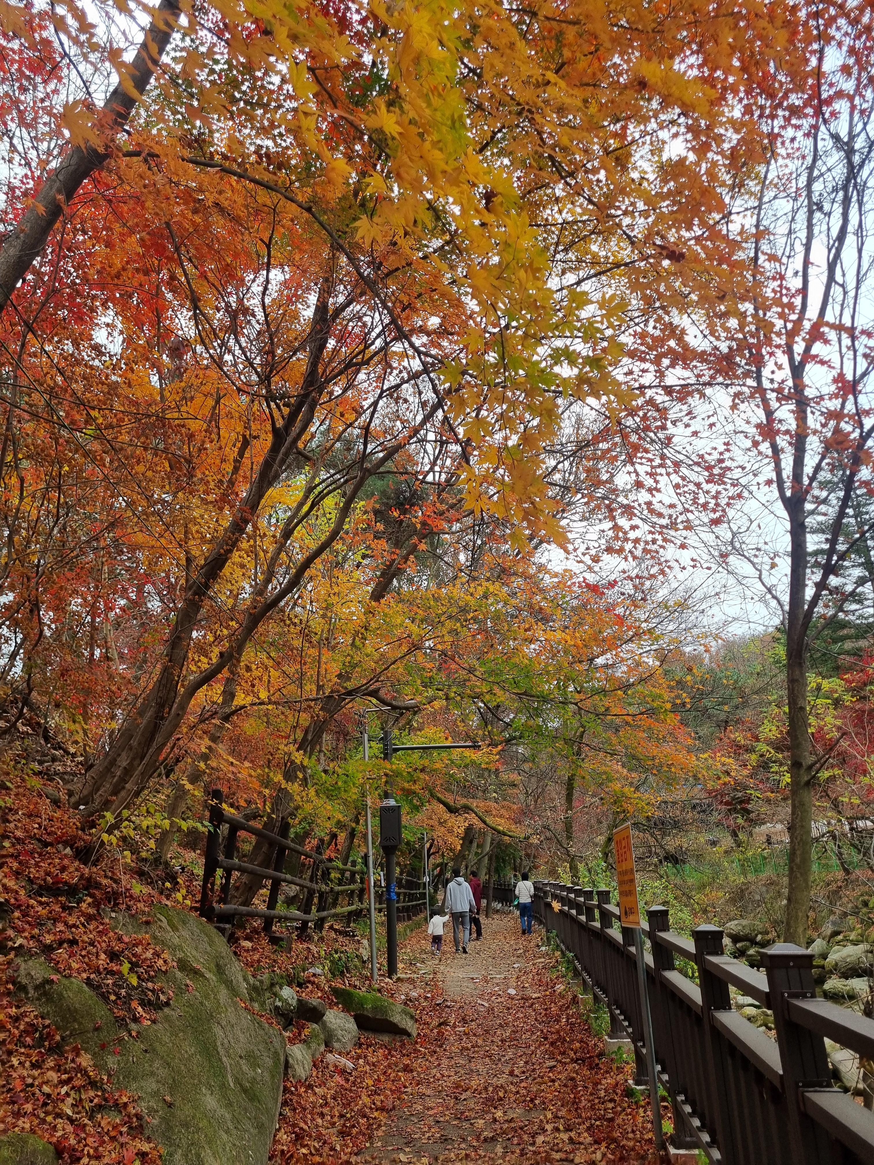 우이동 북한산 둘레길 단풍사진