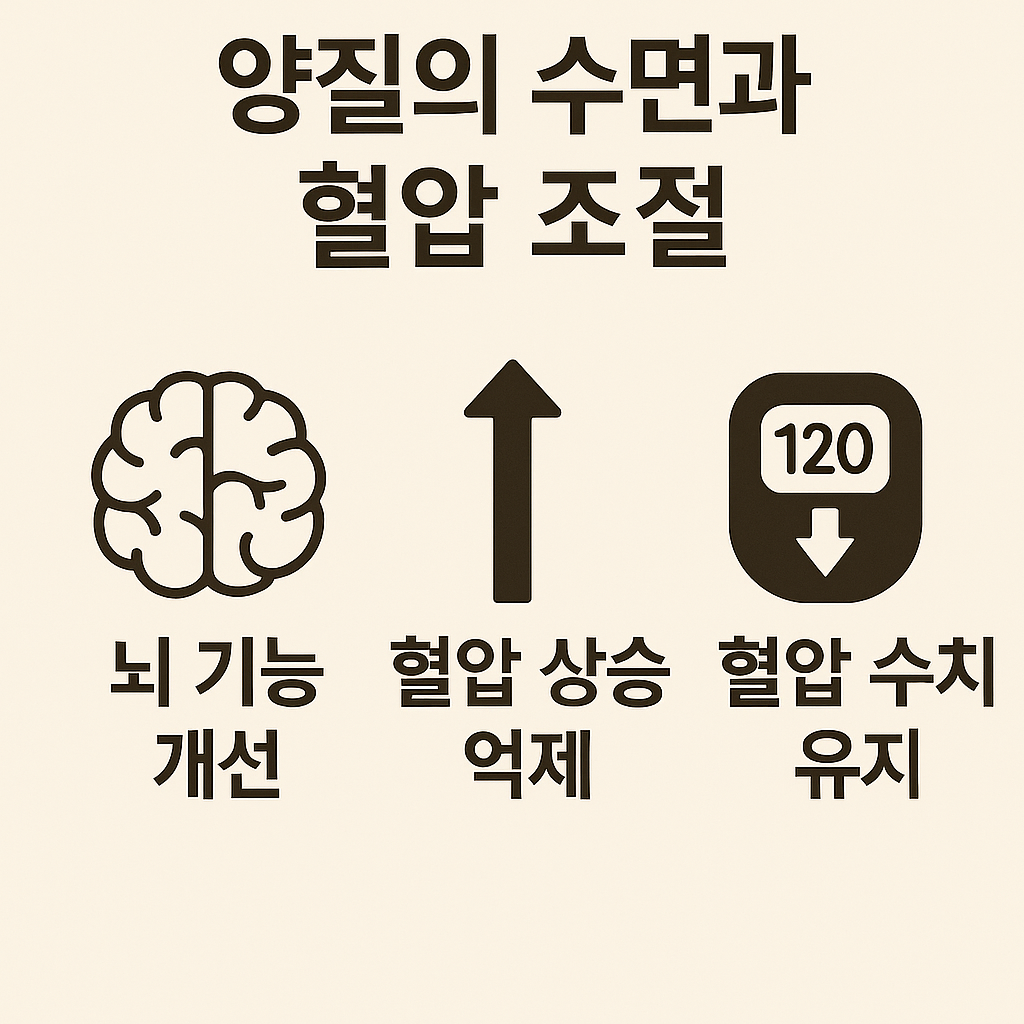 숙면 중 혈압이 안정되는 변화를 보여주는 그래프