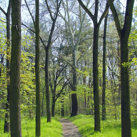 제주도 동쪽 여행지