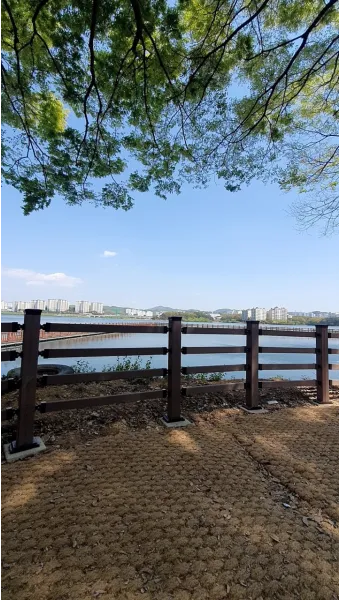 춘천 호수 산책 소양강 스카이워크 닭갈비 동선_20
