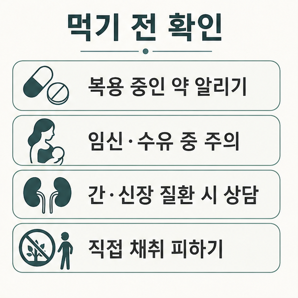 유근피 섭취 전 확인 사항, 복용 약 알리기와 임신 수유 중 주의, 간과 신장 질환 상담을 정리한 목록