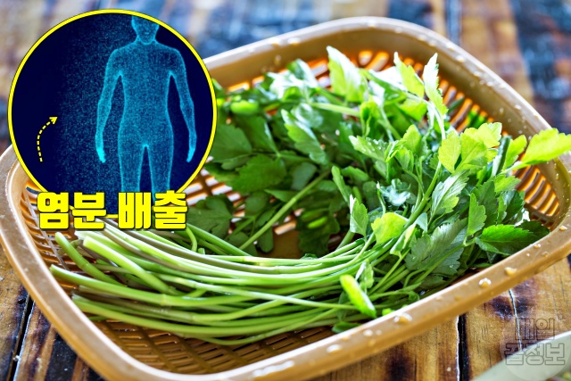 고혈압에 좋은 음식,미나리 효능,건강,팁줌