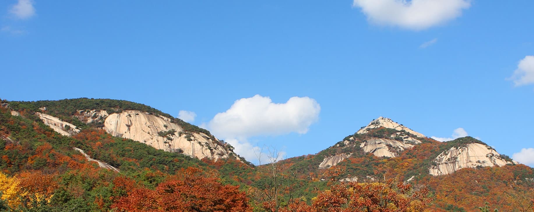 [서울 근교 여행지]산들소리 수목원 &amp; 낭만등불축제 후기