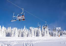 2025 스키장 개장일 완벽 총정리 - 용평부터 지산까지