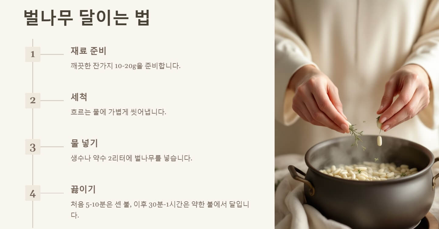 벌나무 효능 끓여먹는 방법
