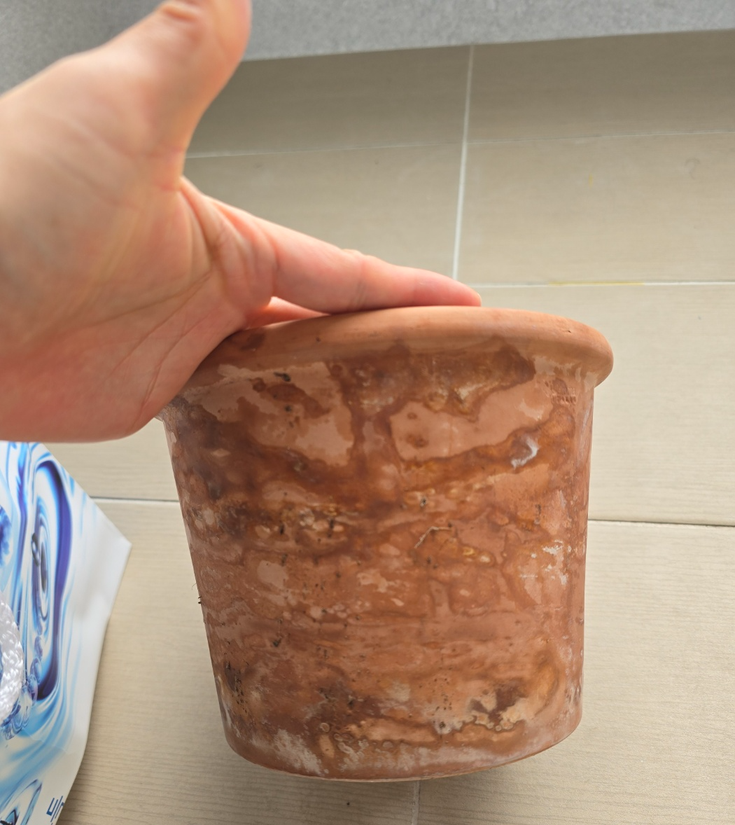 얼룩덜룩 곰팡이까지 생긴 토분