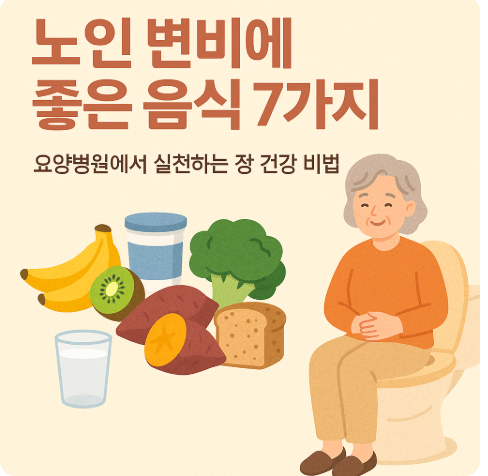 노인 변비에 효과적인 좋은 음식