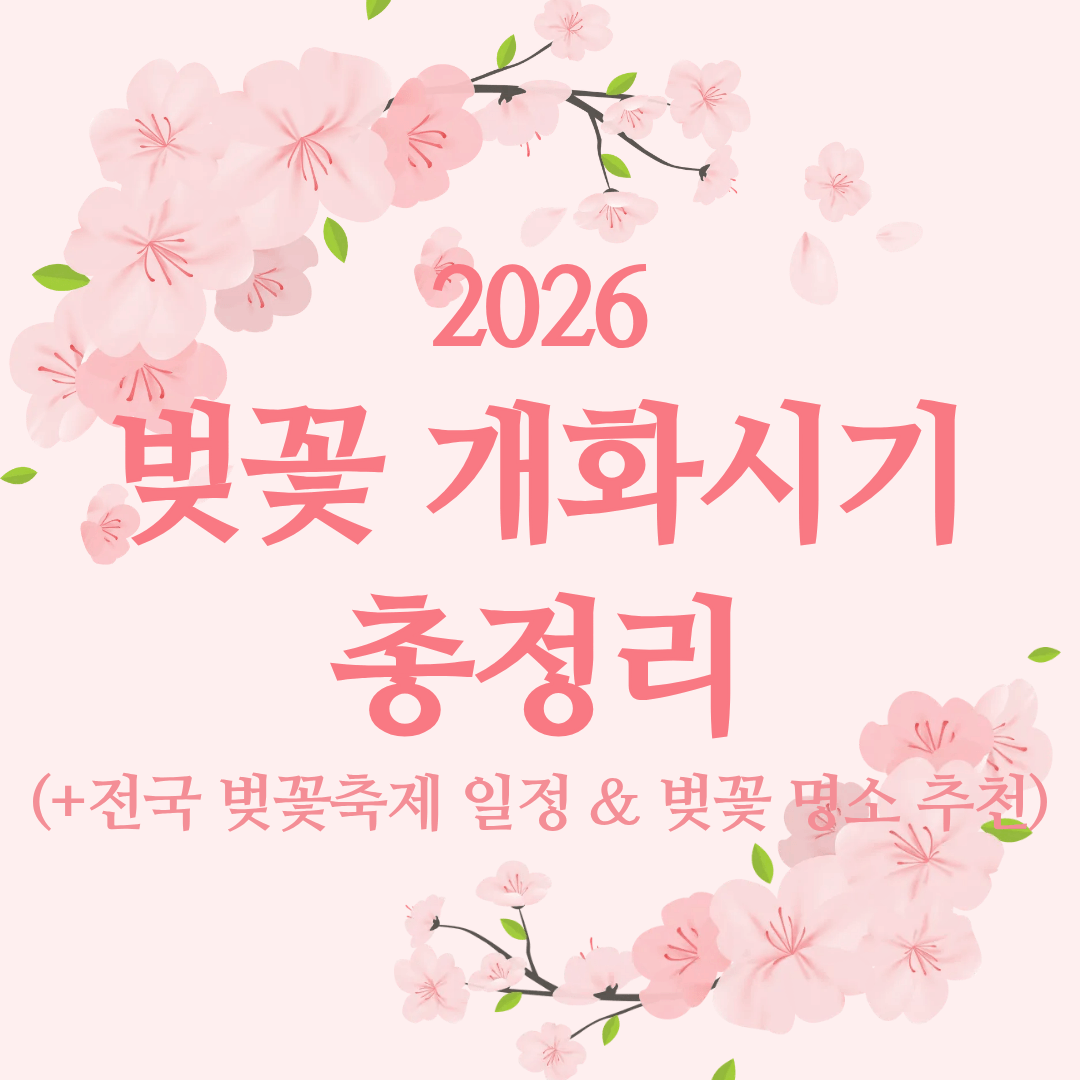 2026 벚꽃 개화시기