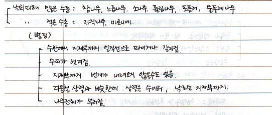 번개, 낙뢰, 뇌우