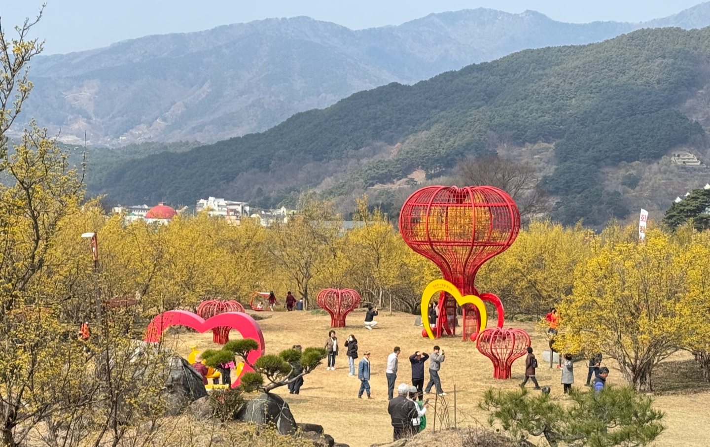 구례산수유축제