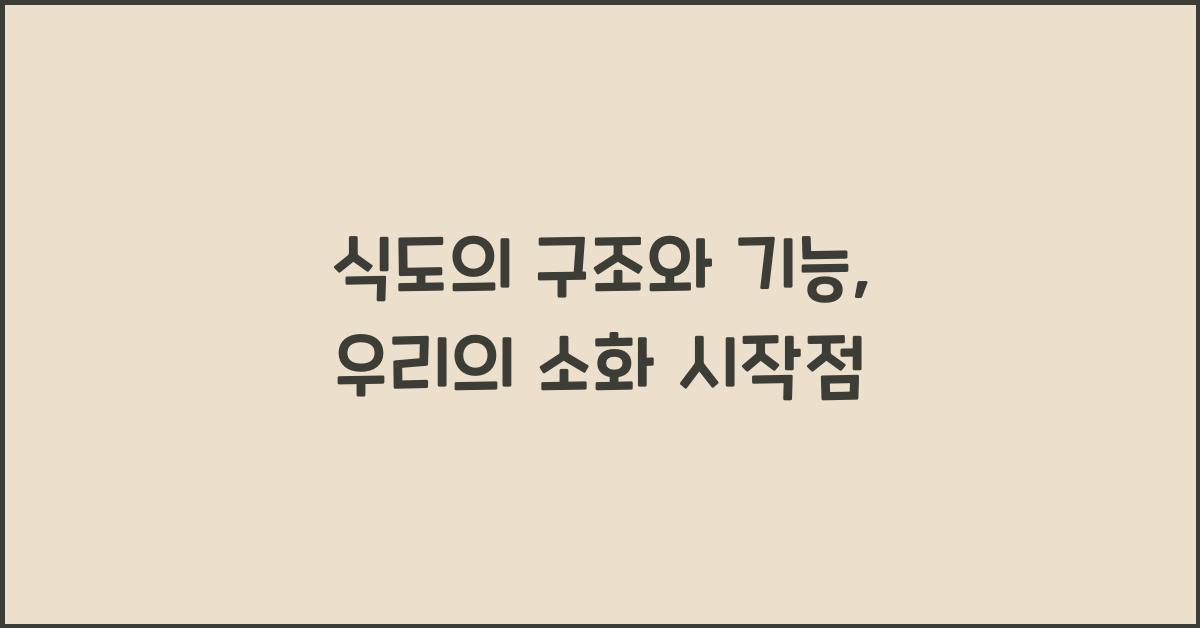 식도의 구조와 기능