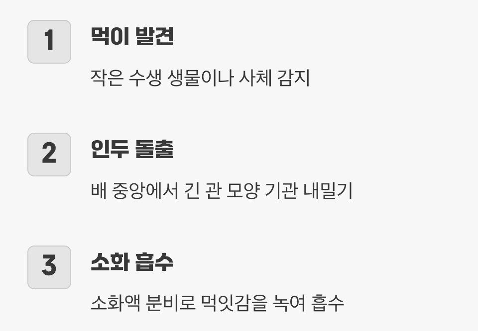 배에서 나오는 신기한 식사 도구