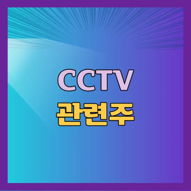 CCTV 관련주