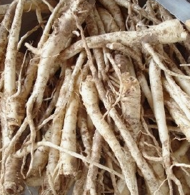 도라지 효능 부작용 고르는법 먹는법 꽃 총정리