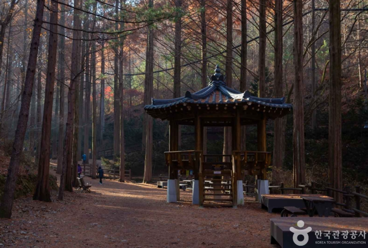 장태산 자연휴양림