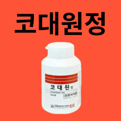 코대원정