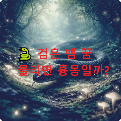 검은 뱀 꿈 해몽