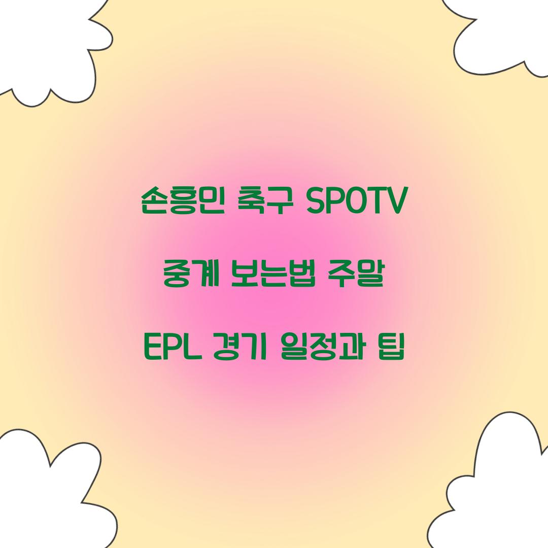 손흥민 축구 SPOTV 중계 보는법