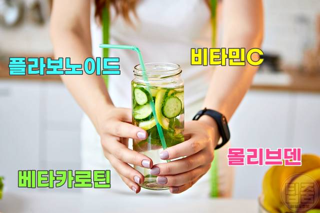 오이물 효능 오이물 만들기