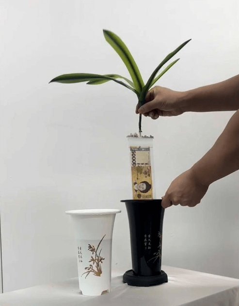 난초 용돈 뽑기