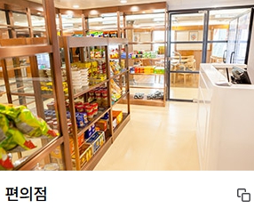 울릉도 배편시간표 울릉크루즈