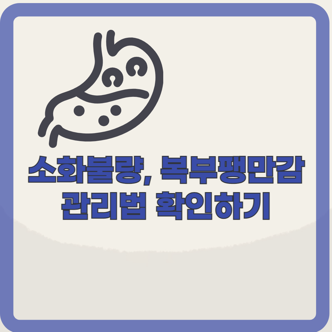 소화불량, 복부팽만의 증상 및 개선방법 알아보기 (feat. 소화에 좋은 음식)