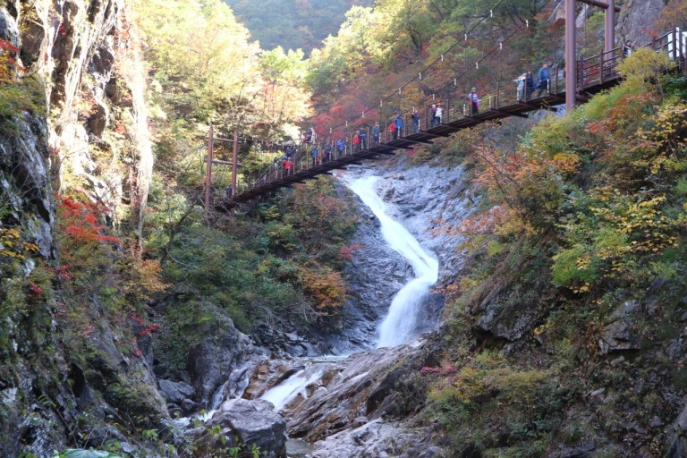 설악산 단풍시기